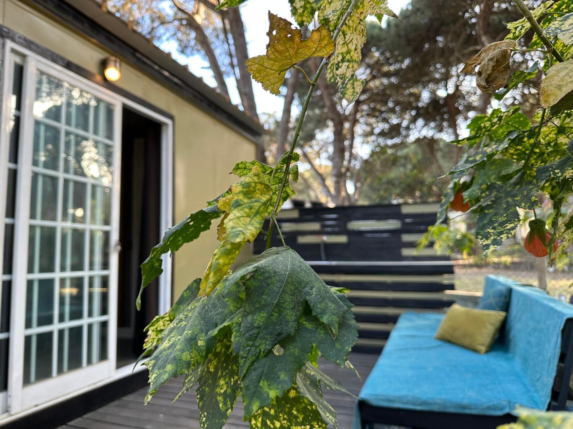 Eco-Friendly Beach House Sesimbra Zewnętrze zdjęcie