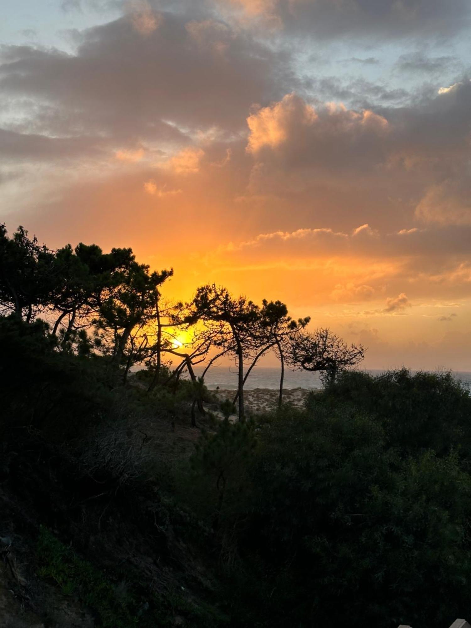 Eco-Friendly Beach House Sesimbra Zewnętrze zdjęcie