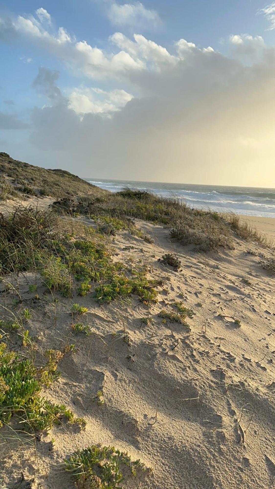 Eco-Friendly Beach House Sesimbra Zewnętrze zdjęcie