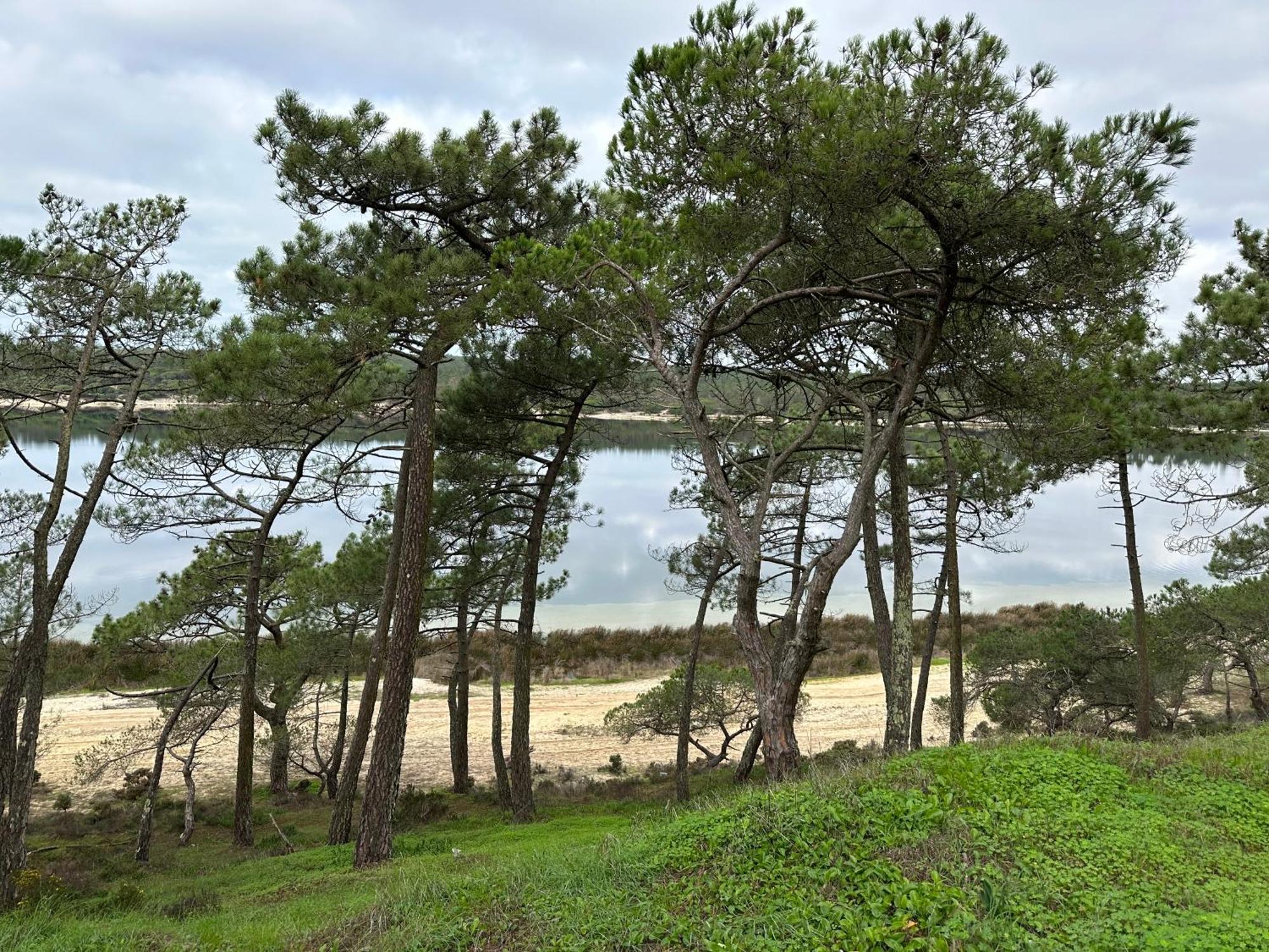 Eco-Friendly Beach House Sesimbra Zewnętrze zdjęcie