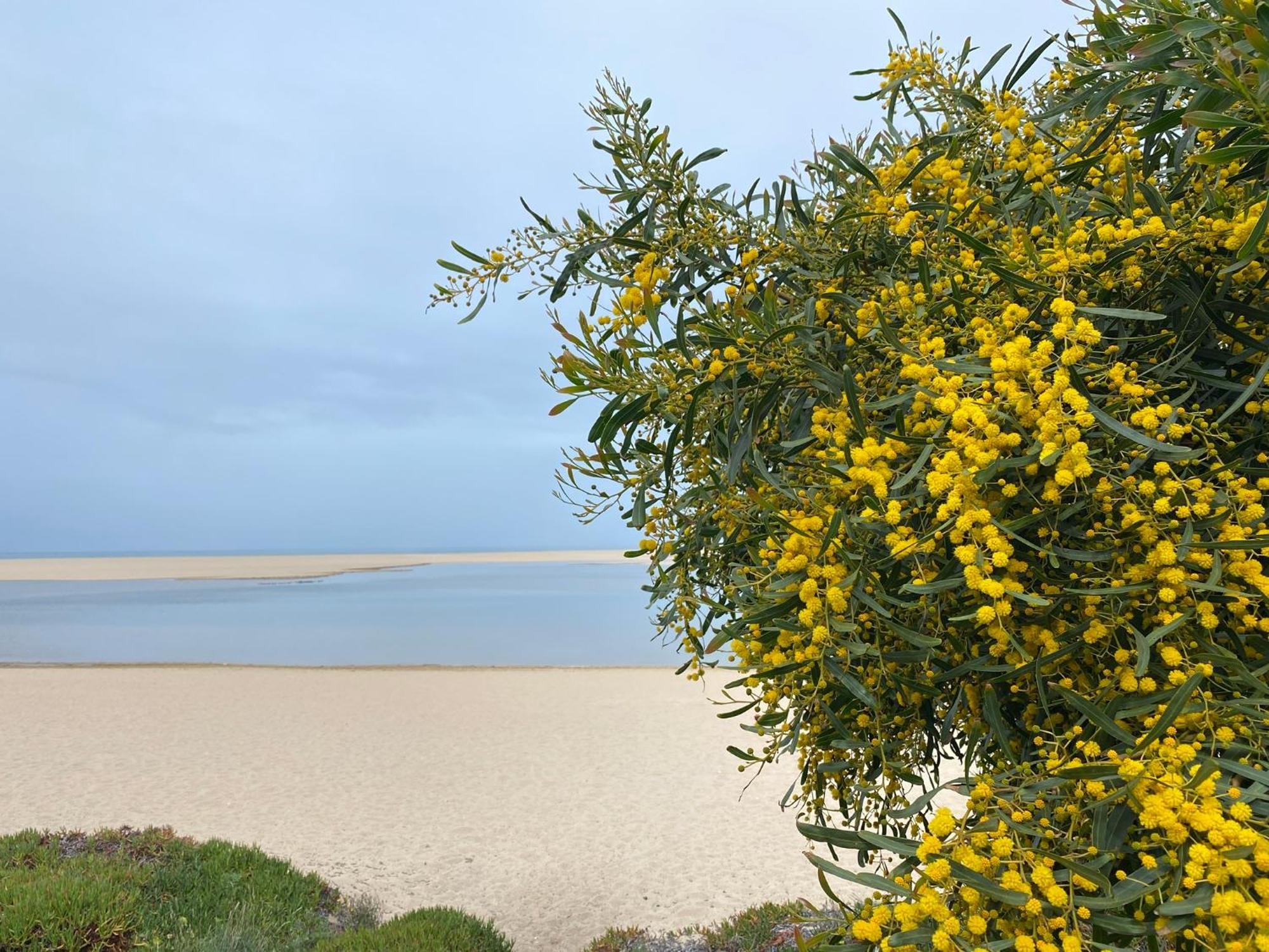 Eco-Friendly Beach House Sesimbra Zewnętrze zdjęcie